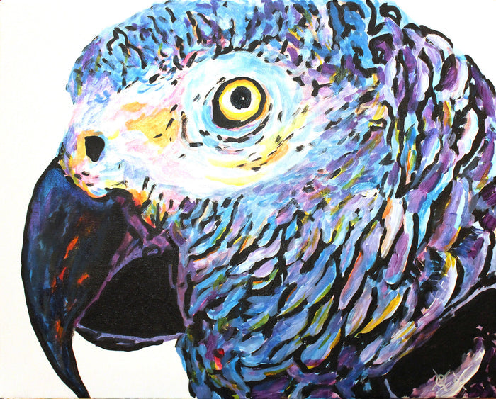 African Grey