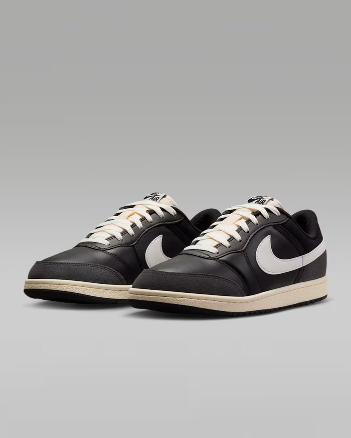 Nike Air Jordan Skyline Low LE IQ6425 001