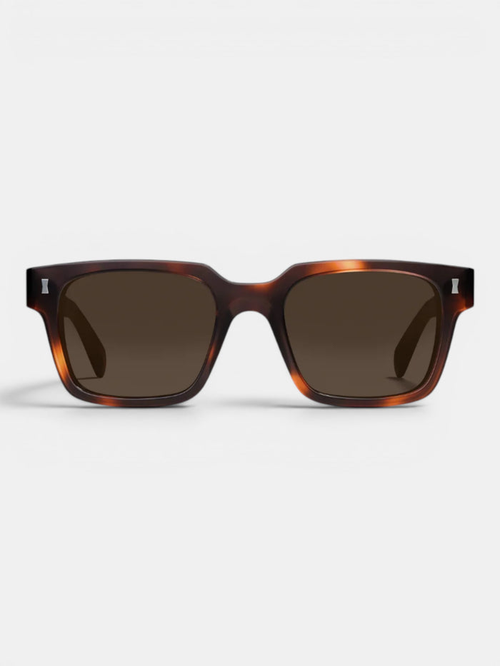 Aubin Dark Turtle Cubitts Panton Sunglasses | Sunglasses