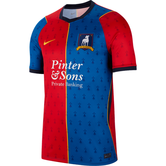 Nike AFC Richmond 26/27 Home JSY IU1275 466