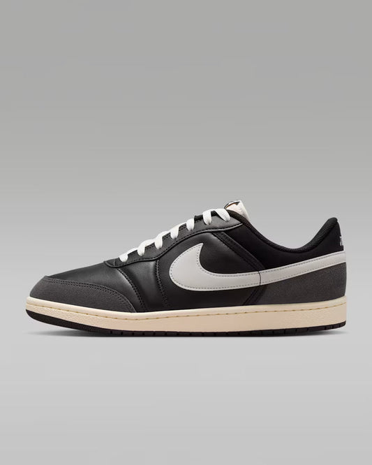 Nike Air Jordan Skyline Low LE IQ6425 001