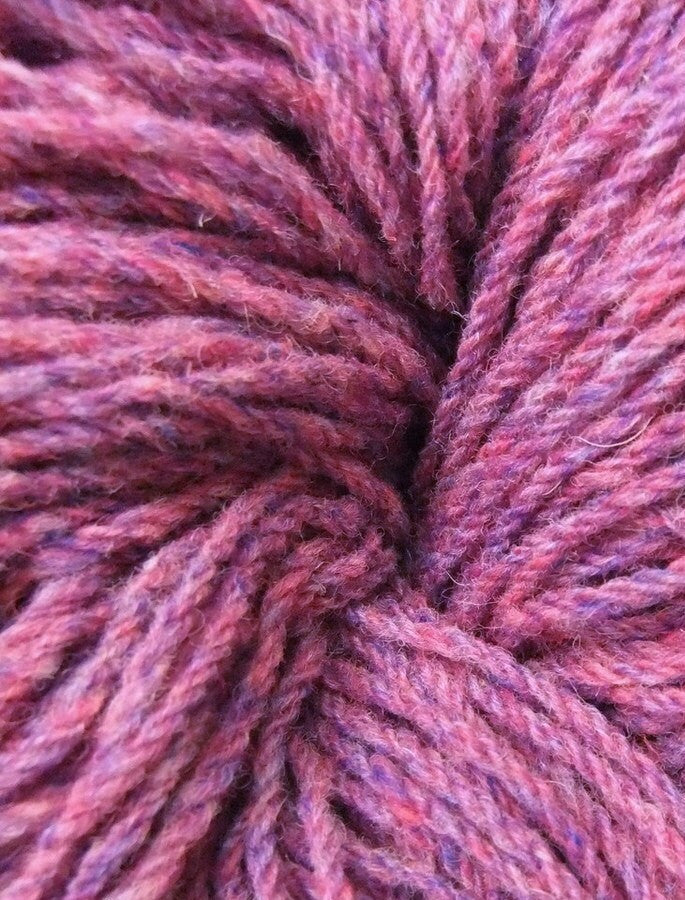 Rambling Rose