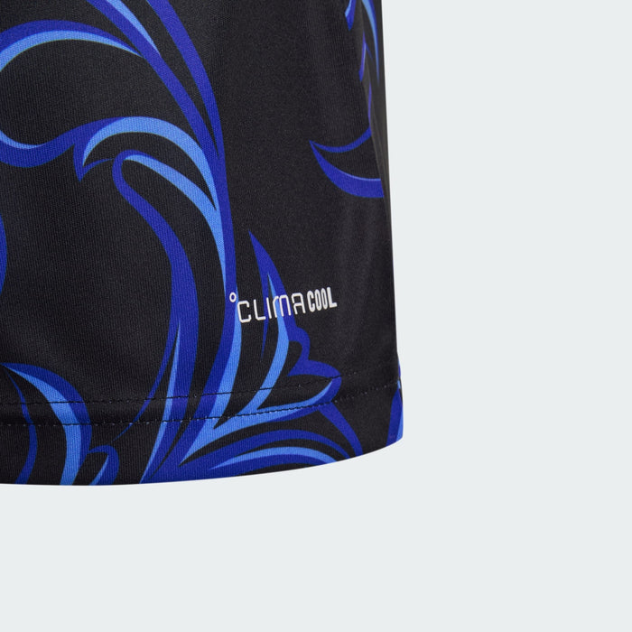 Adidas Argentina Youth Away Jersey 26/27 - KB0626