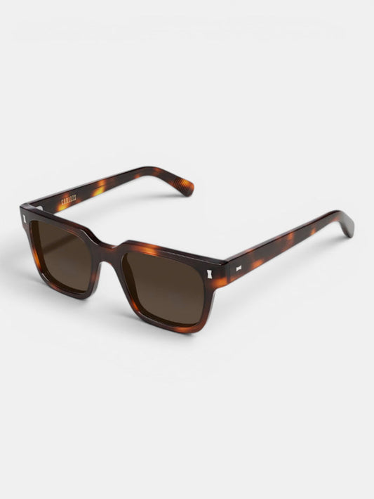 Aubin Dark Turtle Cubitts Panton Sunglasses | Sunglasses