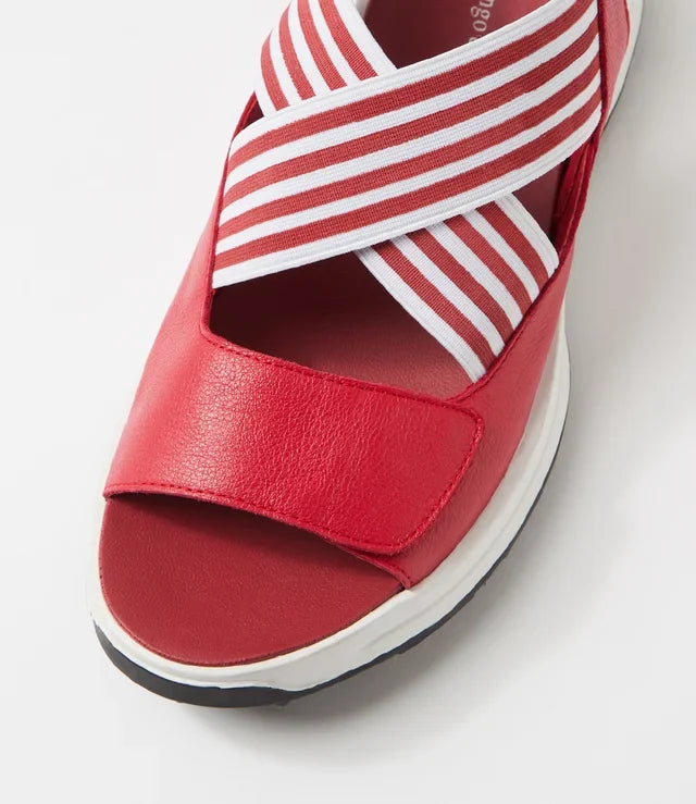 DJANGO & JULIETTE KARTERS RED RED & WHITE