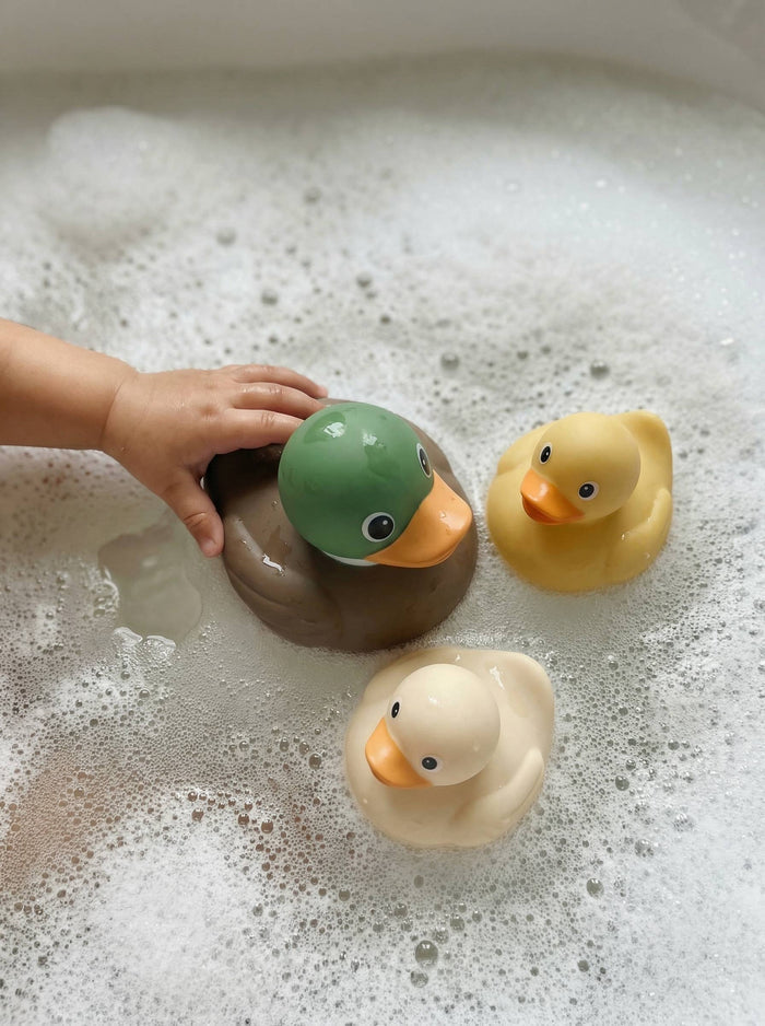 Itzy Ducky Family - Mallard - Wee Bee Baby Boutique