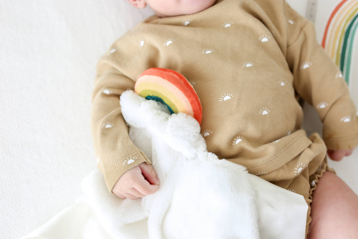 Little Rainbow Baby Lovey - Wee Bee Baby Boutique