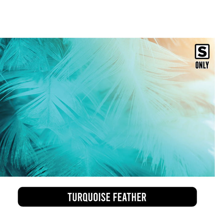 Turquoise Feather