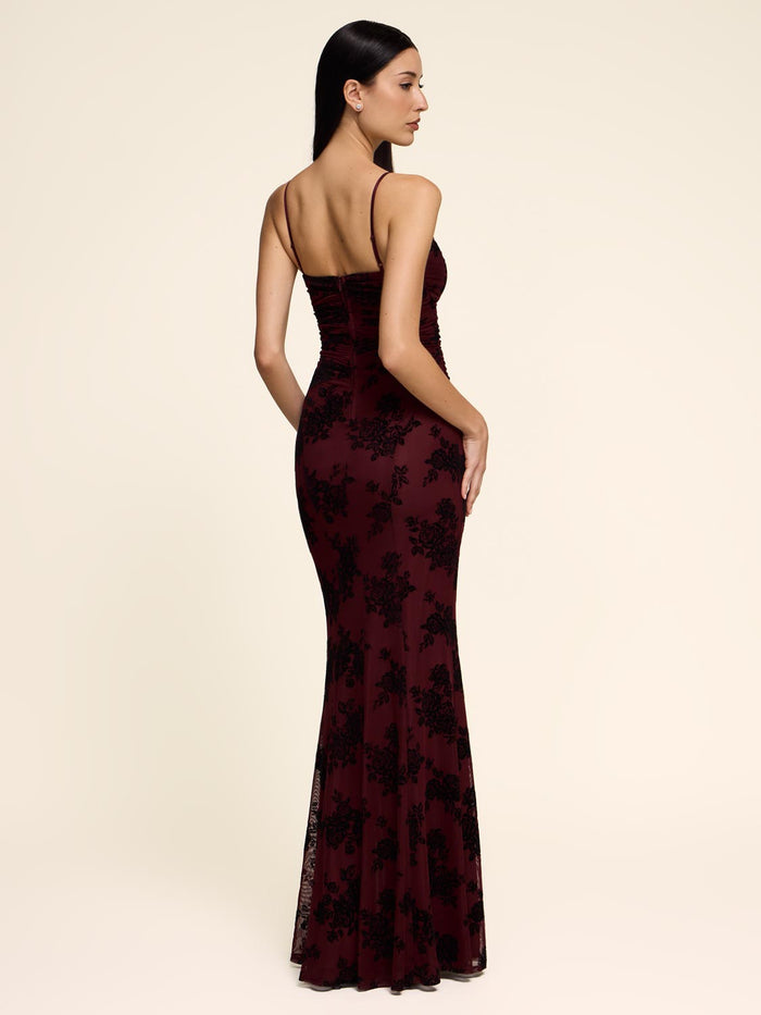 Merlot