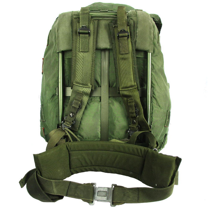 USGI Large ALICE Pack - US Army Surplus - Hiking Packs